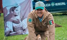 San José del Rincón se suma a la defensa de los bosques con la Jornada Nacional de Reforestación
