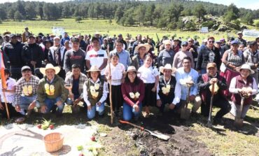 Temoaya refuerza su vocación ambiental con la plantación de 4 mil árboles