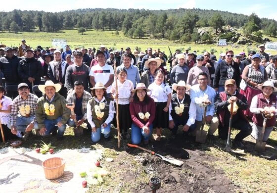 Temoaya refuerza su vocación ambiental con la plantación de 4 mil árboles