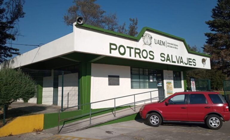 UAEMéx se deslinda de persona involucrada en hechos tras final infantil de Potros Salvajes