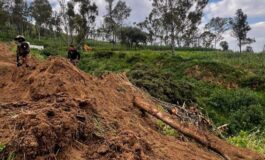Felipe Arvizu, en la mira por presunta devastación ambiental en Ayotla