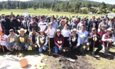 Temoaya refuerza su vocación ambiental con la plantación de 4 mil árboles