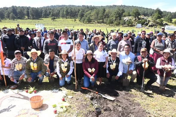 Temoaya refuerza su vocación ambiental con la plantación de 4 mil árboles