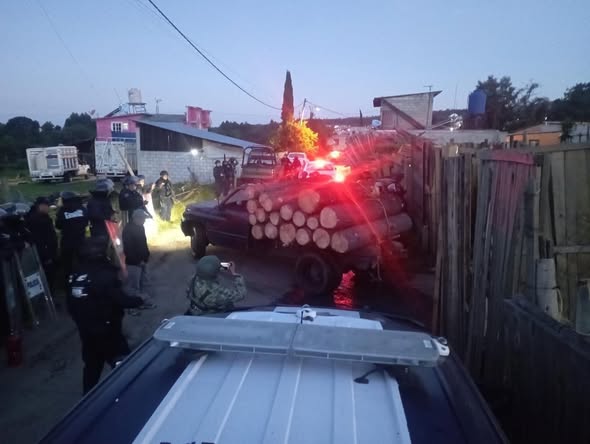 Golpe a la tala clandestina: aseguran 99 rollos de madera en Ocuilan
