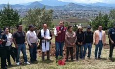 Revive Toluca el Cerro del Perico con nueva acción de recuperación ambiental