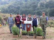 Temoaya se convierte en referente nacional de reforestación