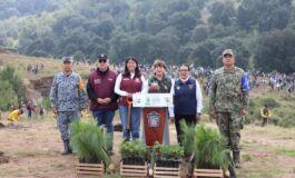 Temoaya se convierte en referente nacional de reforestación