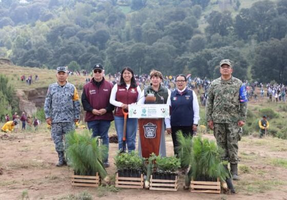 Temoaya se convierte en referente nacional de reforestación