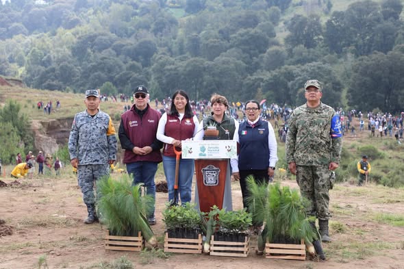 Temoaya se convierte en referente nacional de reforestación